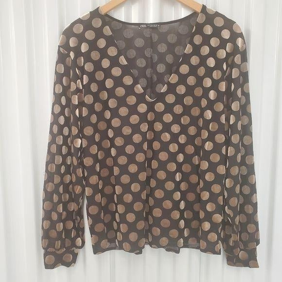 Zara Polka Dot Velvet Vneck Long Sleeve Blouse
