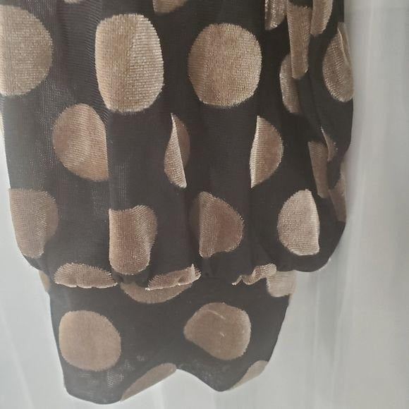 Zara Polka Dot Velvet Vneck Long Sleeve Blouse