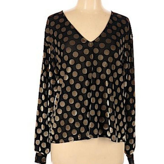 Zara Polka Dot Velvet Vneck  Long Sleeve Blouse