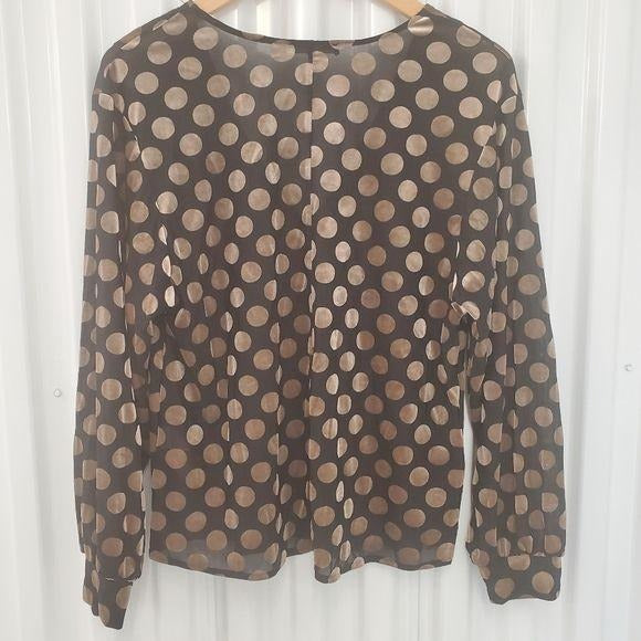 Zara Polka Dot Velvet Vneck  Long Sleeve Blouse